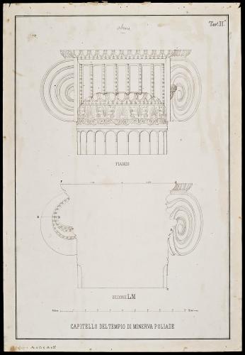 ORNATI GRECI: CAPITELLO DEL TEMPIO DI MINERVA POLIADE AD ATENE