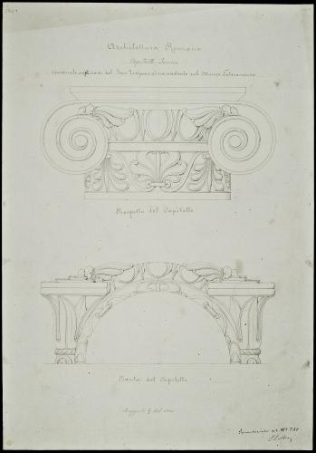 ORNATI ROMANI: CAPITELLO IONICO, PROSPETTO E PIANTA