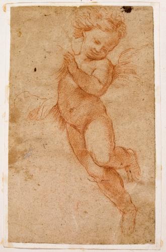 PUTTO IN VOLO