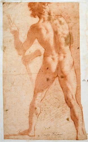 NUDO VIRILE DI SPALLE