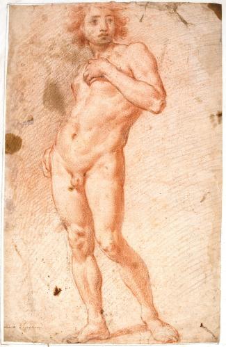 NUDO VIRILE DI FRONTE