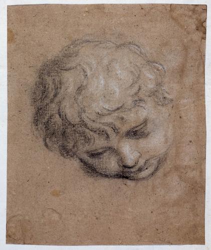 TESTA DI PUTTO, RECLINATA