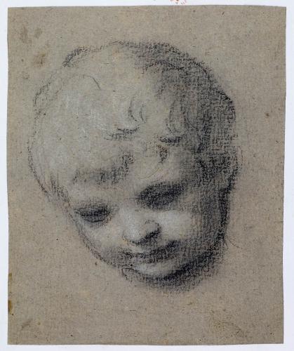 TESTA DI PUTTO, LO SGUARDO VERSO IL BASSO