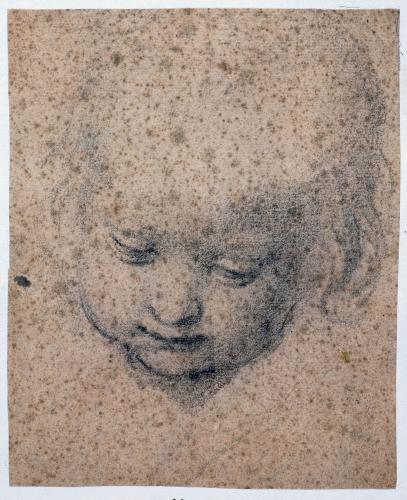 TESTA DI PUTTO, LO SGUARDO VERSO IL BASSO