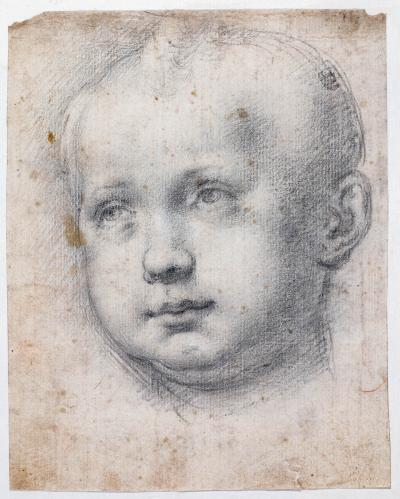 TESTA DI PUTTO