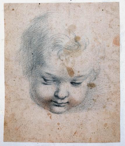 TESTA DI PUTTO, LO SGUARDO VERSO IL BASSO