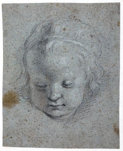 TESTA DI PUTTO, LO SGUARDO VERSO IL BASSO