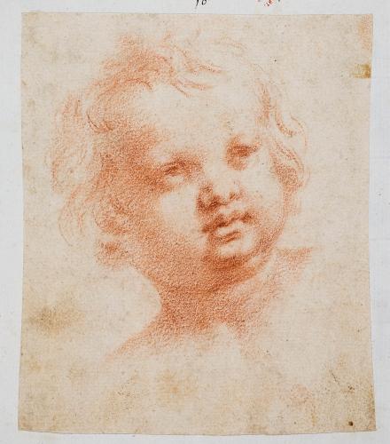 TESTA DI PUTTO