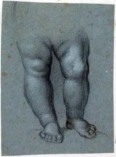 GAMBE DI PUTTO