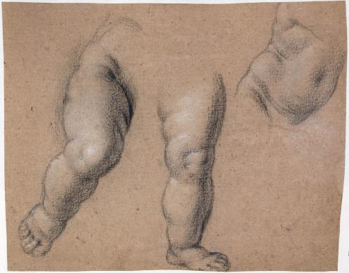 GAMBE E TORSO DI PUTTO