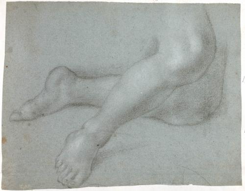 GAMBE DI FIGURA INGINOCCHIATA