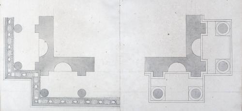 PIANTE DI CAMPATA ANGOLARE