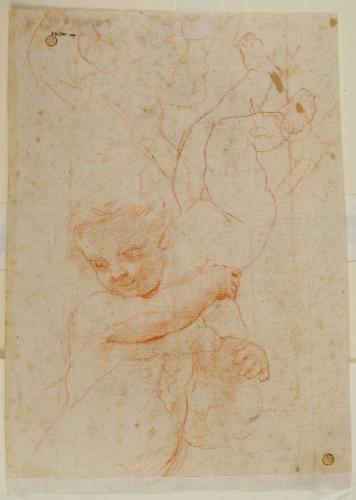 STUDI DI PUTTO