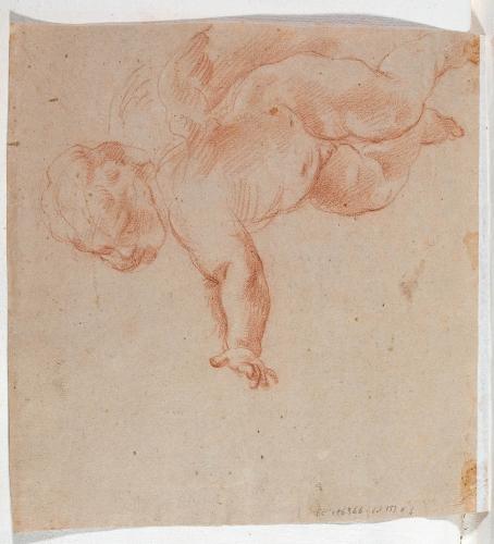 PUTTO IN VOLO