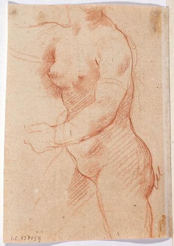 STUDIO DI FIGURA FEMMINILE NUDA