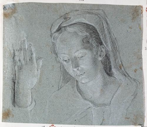 TESTA FEMMINILE VELATA; STUDIO DI MANO