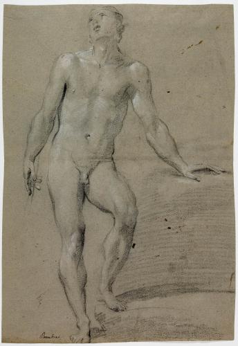 STUDIO DI NUDO VIRILE STANTE