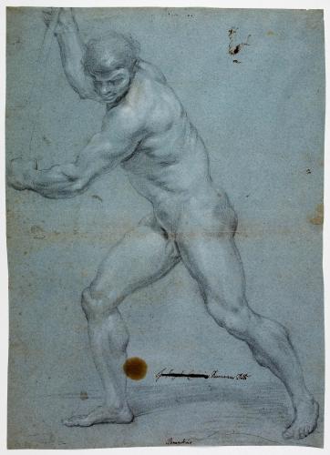 STUDIO DI NUDO VIRILE