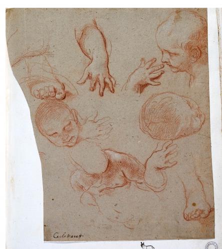 STUDI DI PUTTI