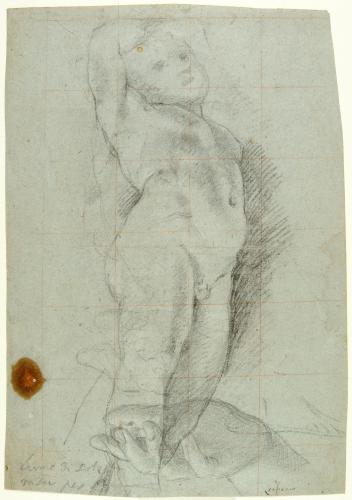 PUTTO; DUE STUDI DI MANO