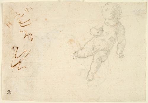 STUDIO DI PUTTO