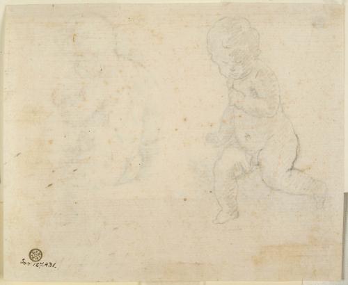 STUDIO DI PUTTO (RICALCATO DAL RECTO)