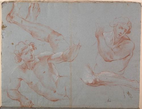 BUSTO DI NUDO MASCHILE SEMIDISTESO; BUSTO DI NUDO MASCHILE; DUE STUDI DI GAMBA E DI UN PIEDE