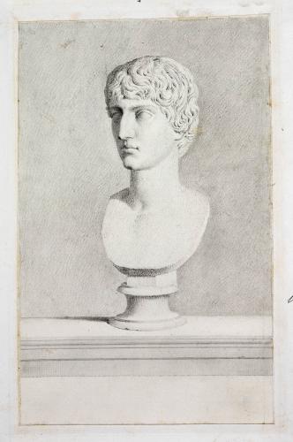 BUSTO DI MARCELLO