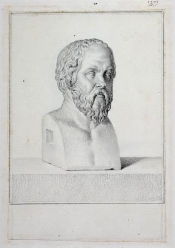 TESTA DI SOCRATE