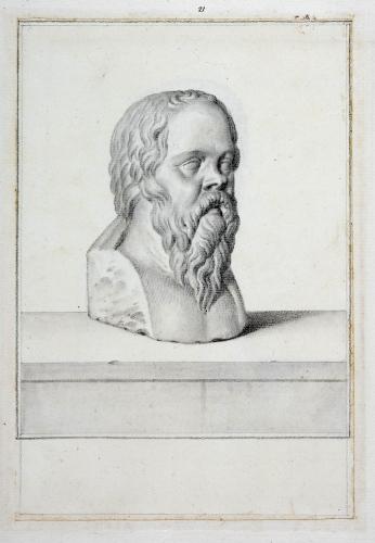 TESTA DI SOCRATE