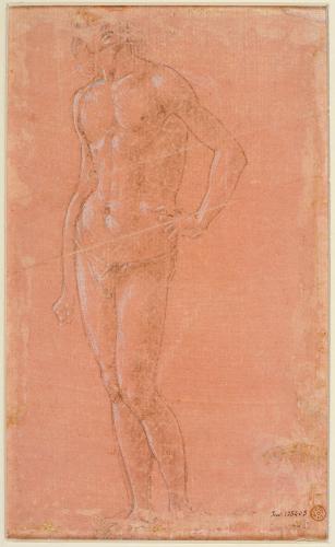 STUDIO DI NUDO VIRILE