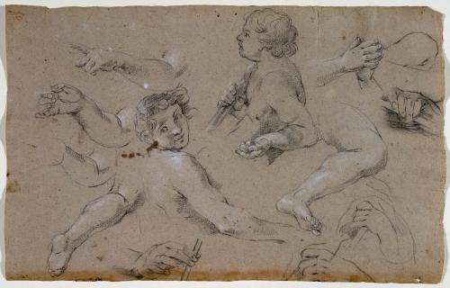 STUDI DI PUTTI, DI MANI, BRACCIA E GAMBE