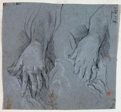 DUE STUDI DI MANO CON PANNEGGIO