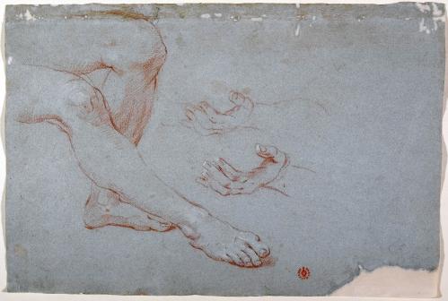 STUDIO DI GAMBE; DUE STUDI DI MANO