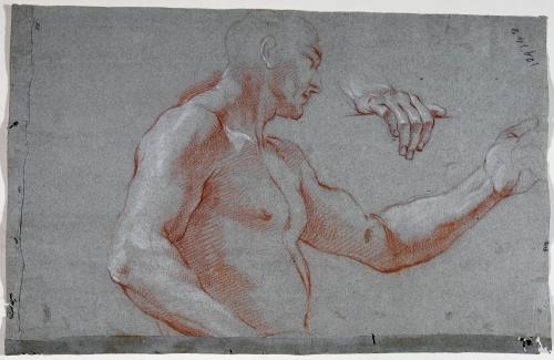 BUSTO DI NUDO MASCHILE, DI PROFILO; STUDIO DI MANO