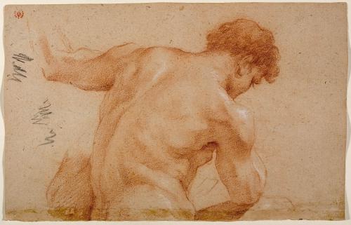 BUSTO DI NUDO MASCHILE, DI SPALLE