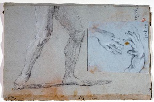 GAMBE DI FIGURA MASCHILE NUDA