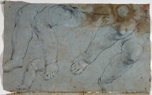 STUDI DI GAMBE DI PUTTI