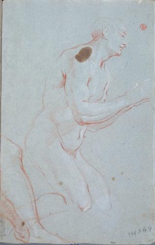 NUDO MASCHILE INGINOCCHIATO, LE MANI GIUNTE; STUDIO DI GAMBE