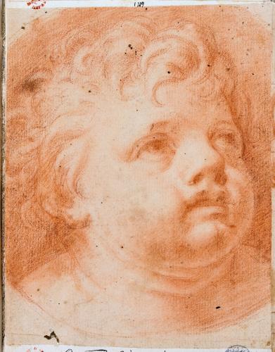 Testa di putto