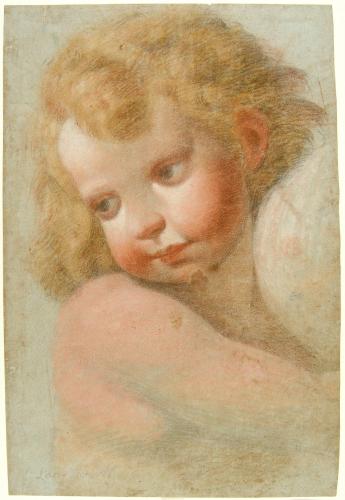 Studio di putto