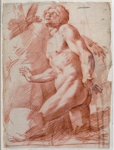 STUDIO DI NUDO VIRILE