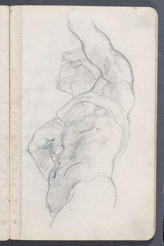 STUDIO DALLO 'SCHIAVO MORENTE' DI MICHELANGELO