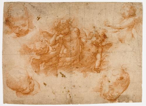 PUTTI E STUDI DI TESTE DI PUTTI