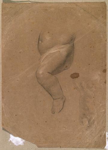 Studio di putto