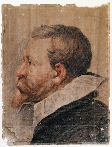 Testa di Giovanni de Wouvère