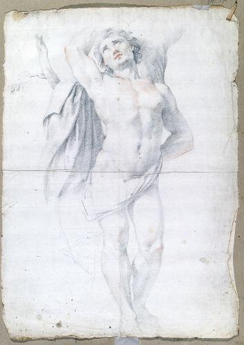 Giovane nudo