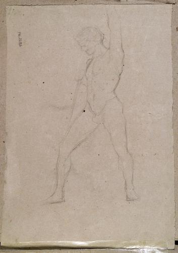 Figura maschile nuda