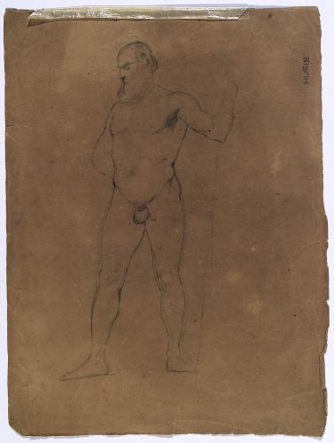 Figura maschile nuda