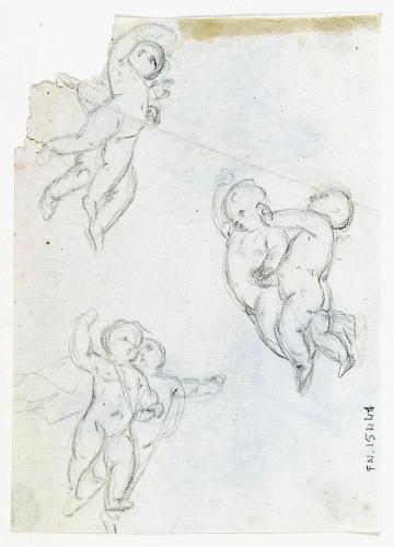 Putti